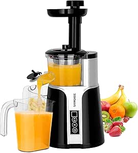 Extractor de Jugos 2 Velocidades